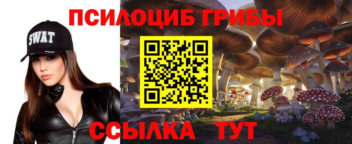 Котовск  Псилоцибиновые грибы ЛСД  Вход с VPN 